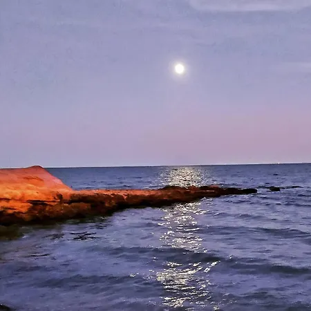 Premium Cap Roig L'Ampolla